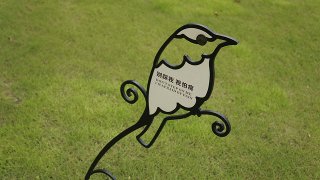 ���@��(bi��o)�R������