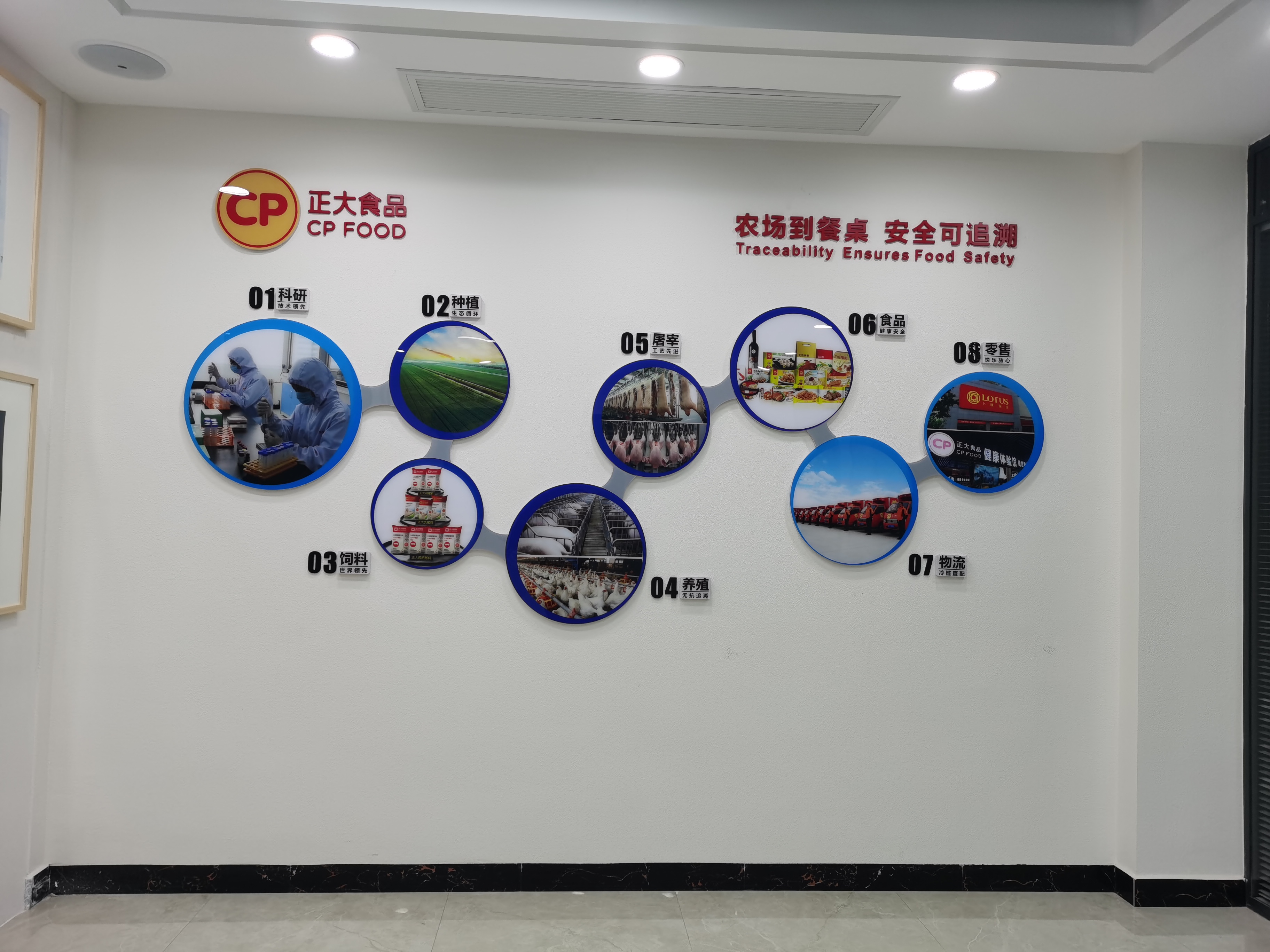 �Lɳ�Ļ���